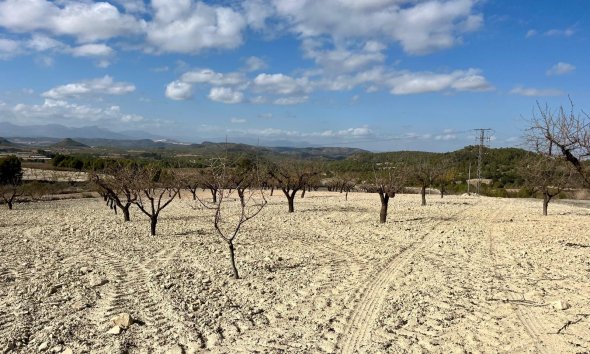 Land - Reventa - BULLAS - Costa Calida