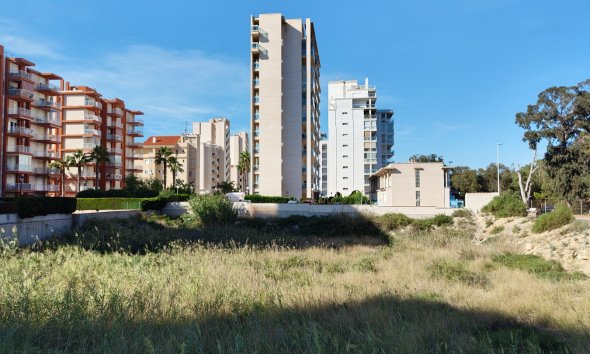 Land - Reventa - Guardamar del Segura - Guardamar del Segura