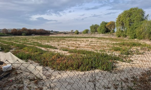 Land - Reventa - Guardamar del Segura - Guardamar del Segura