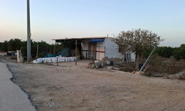 Land - Reventa - Guardamar del Segura - Guardamar del Segura