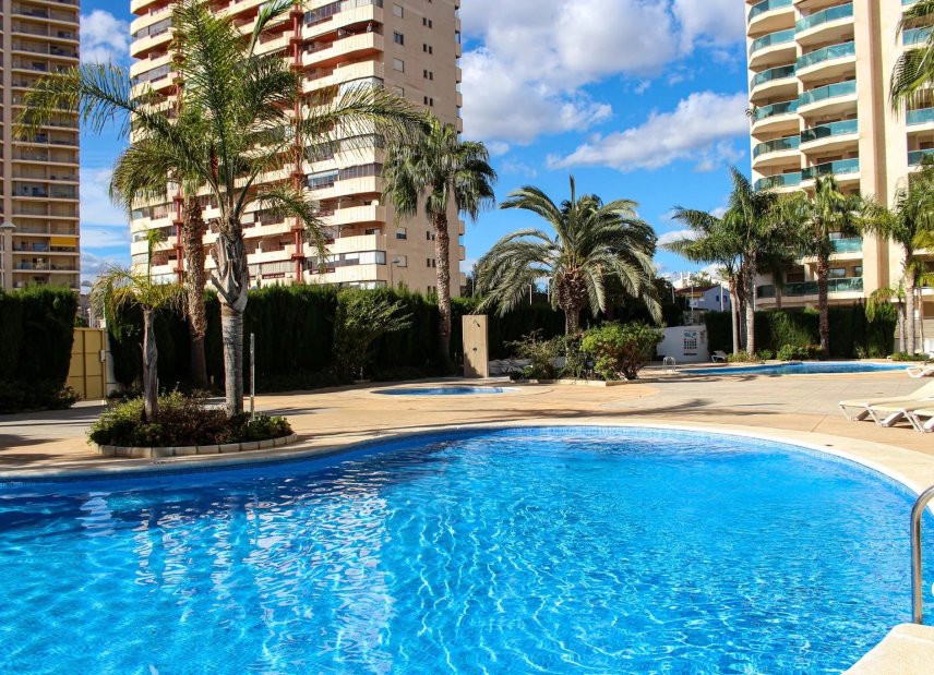 New Build - apartment -
Calasparra - Calp