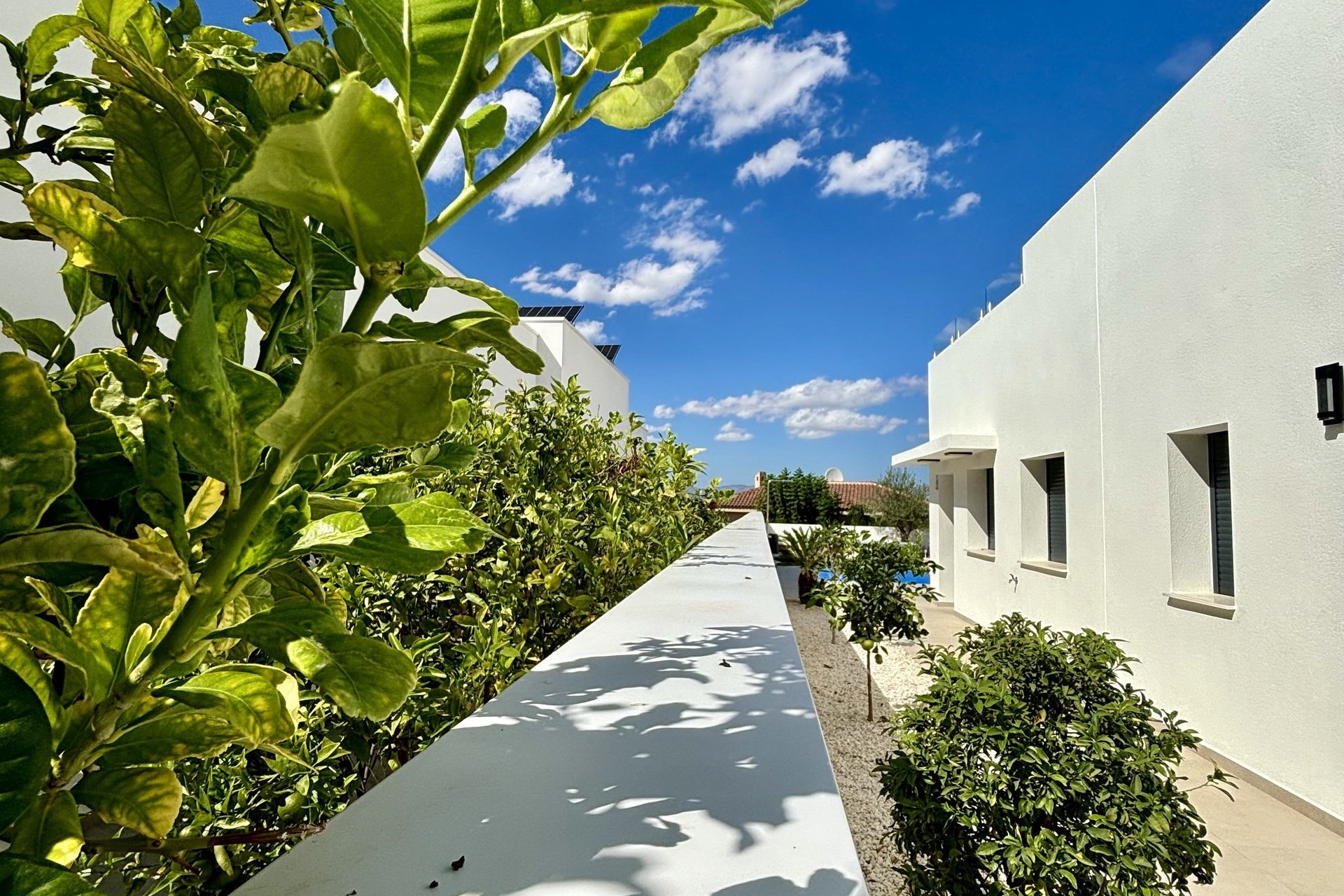 New Build - detached -
Benijofar