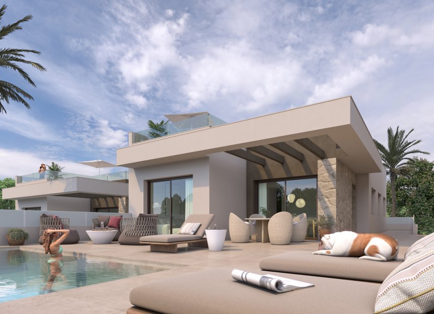 New Build - detached -
Rojales