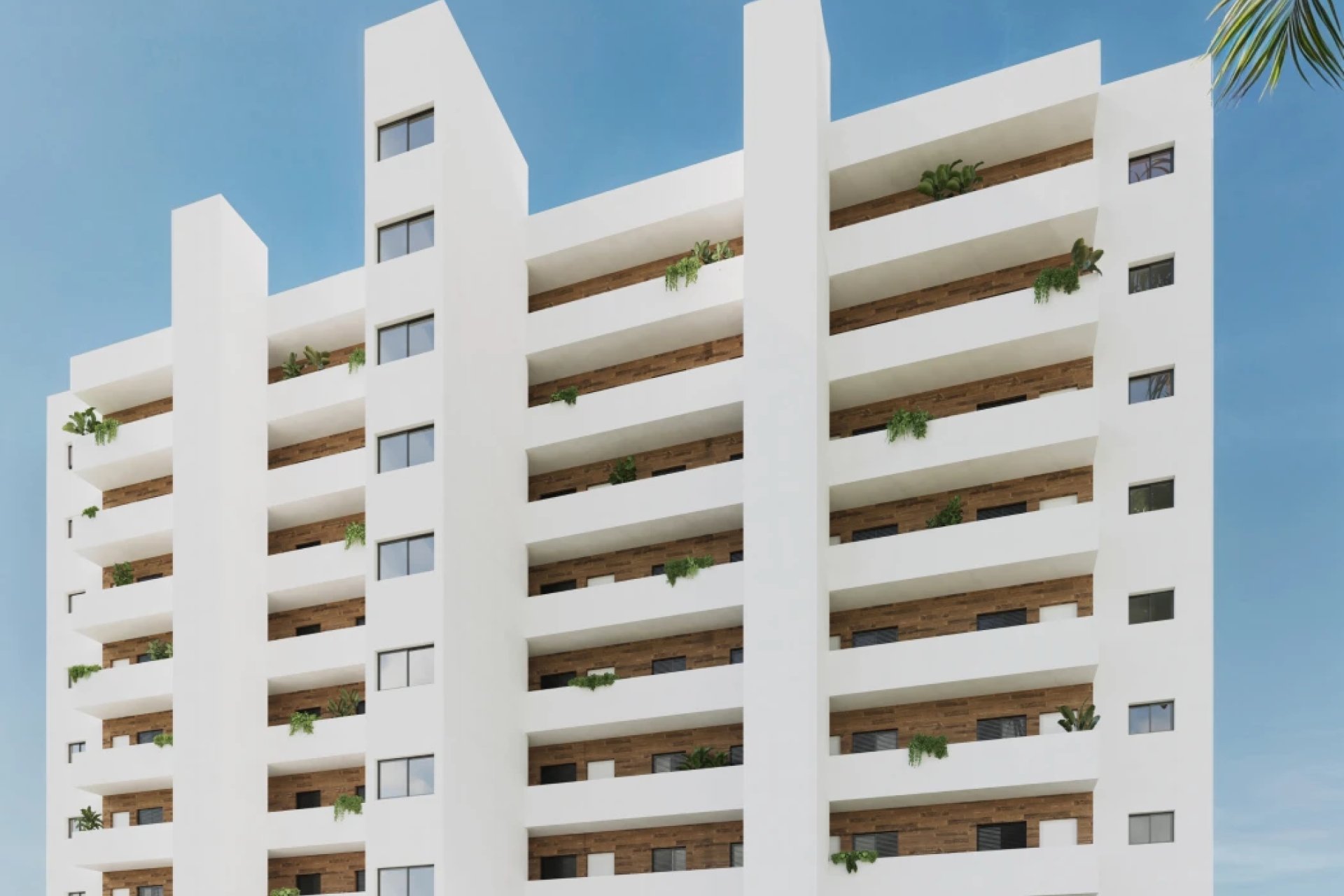 New Build - ground-floor -
Benidorm