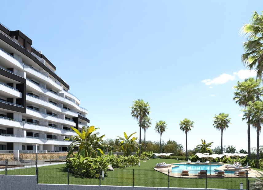 New Build - ground-floor -
San Miguel de Salinas