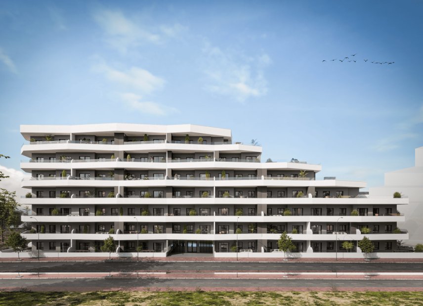 New Build - ground-floor -
San Miguel de Salinas