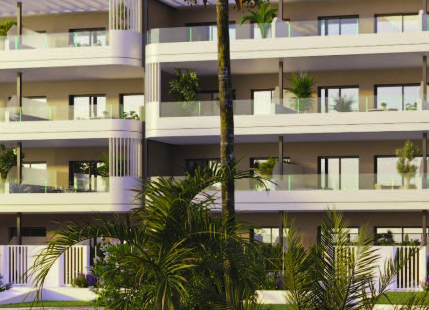 New Build - ground-floor -
Torrevieja