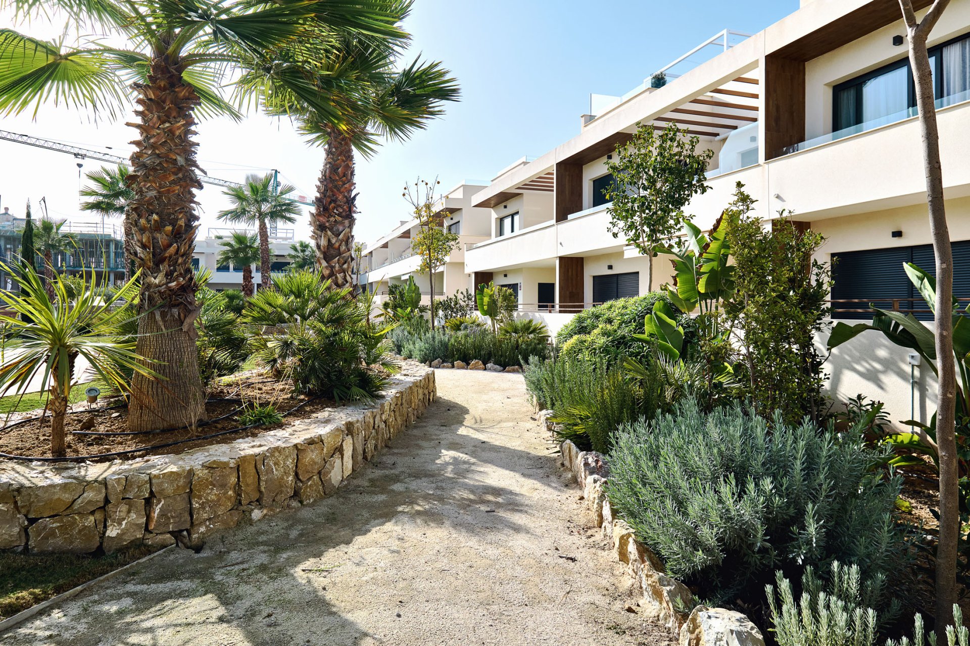 New Build - high-bungalow -
Torrevieja