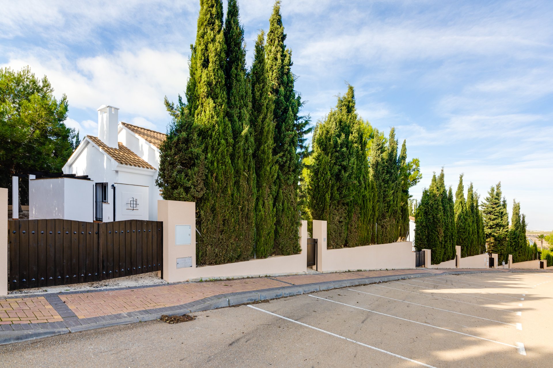 Nybyggeri - detached -
Fuente Alamo