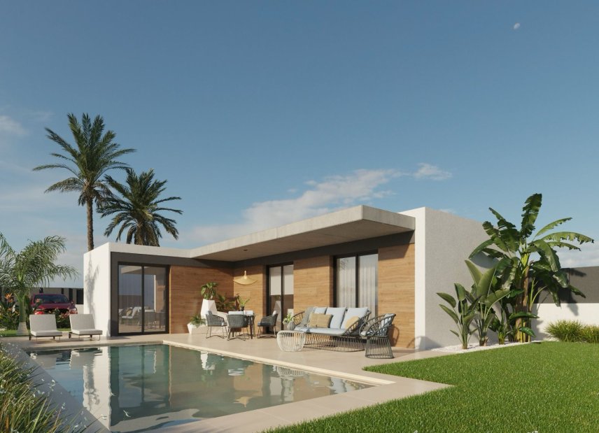 Nybyggeri - detached -
Molina de Segura