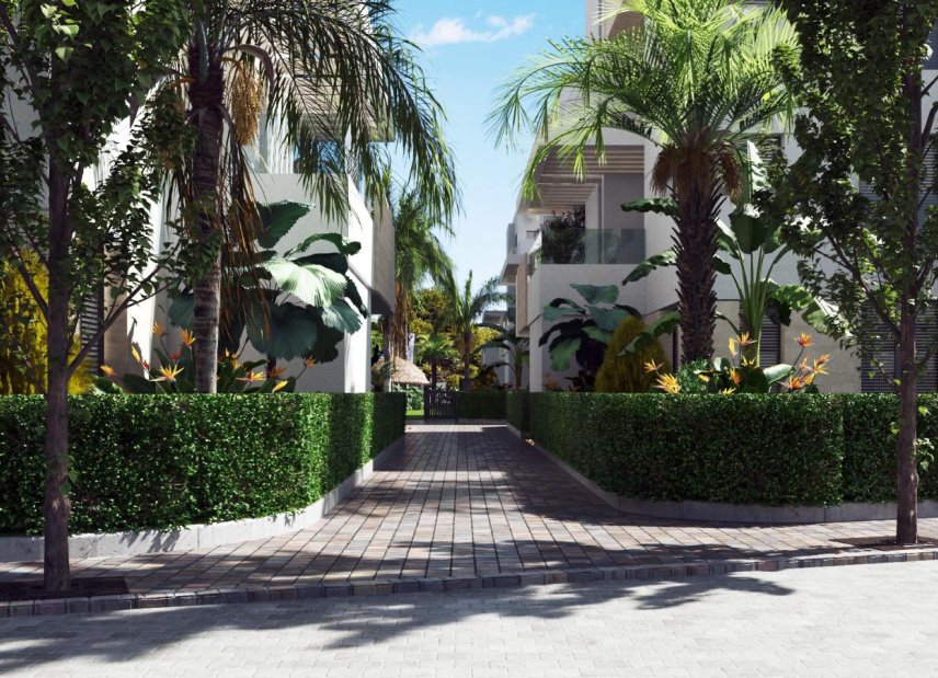 Nybyggeri - Penthouse -
Santa Rosalía