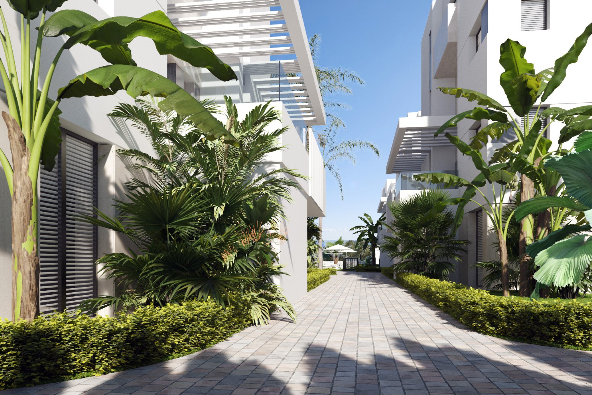 Nybyggeri - Penthouse -
Santa Rosalía
