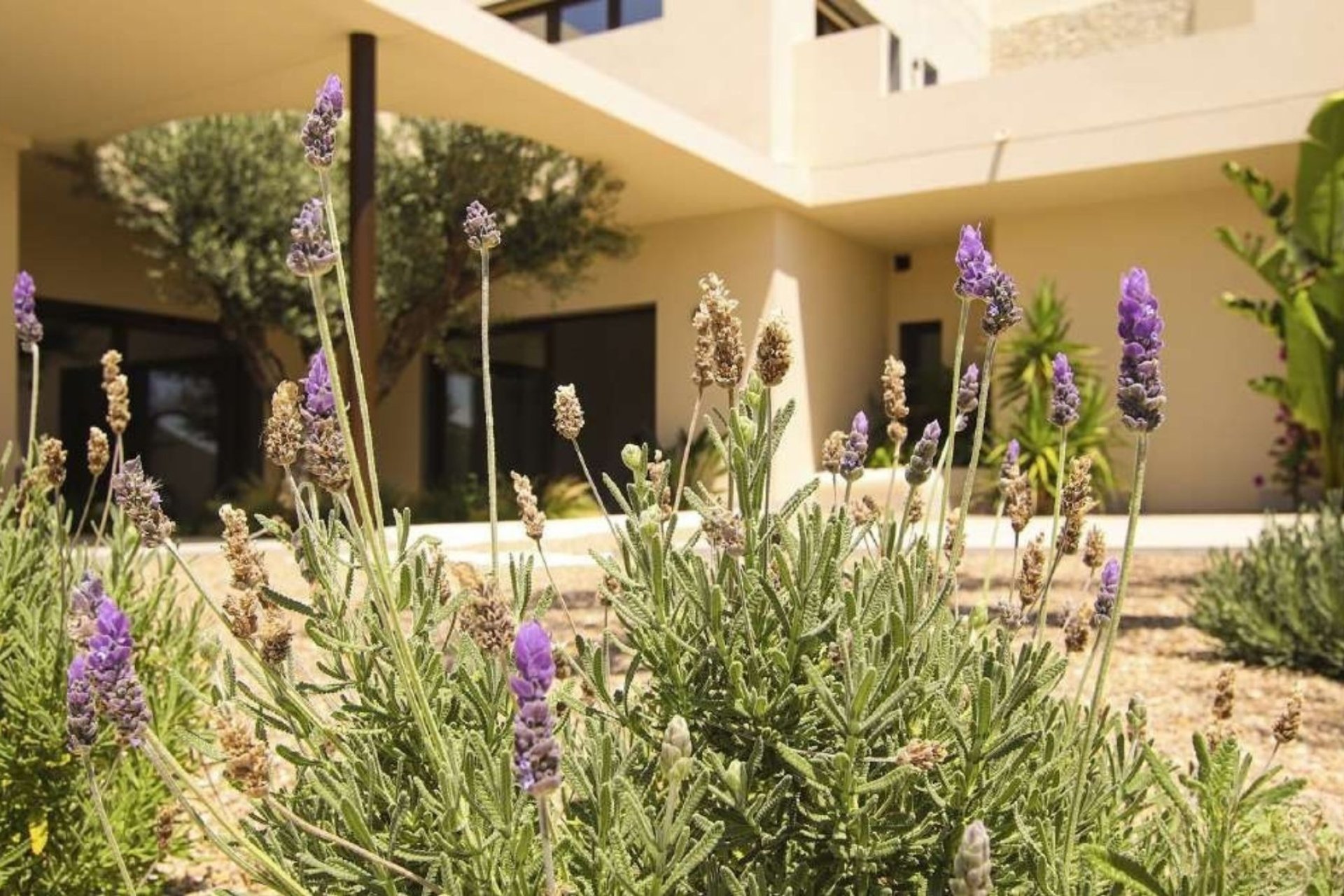 Nybyggeri - Villa -
La Marina