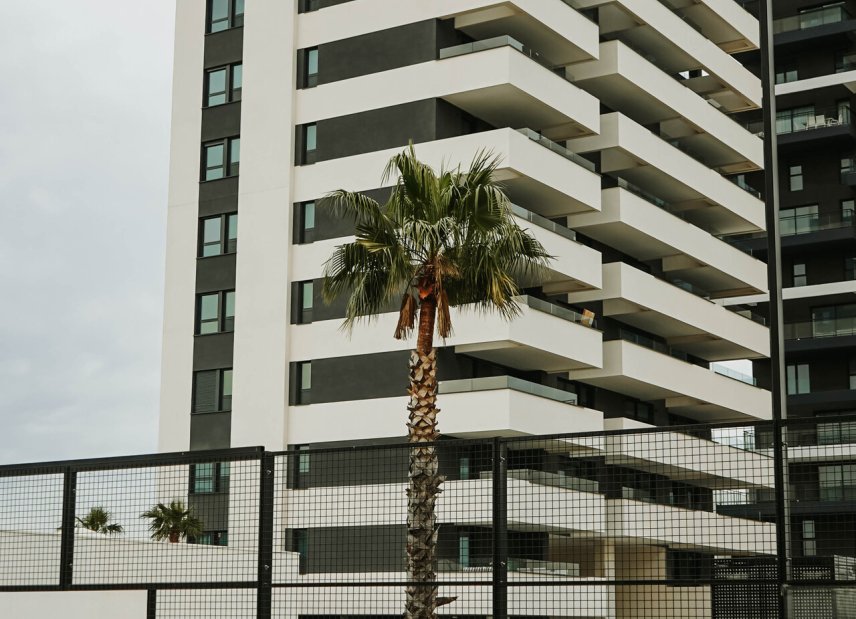 Obra nueva - Ático -
Calpe