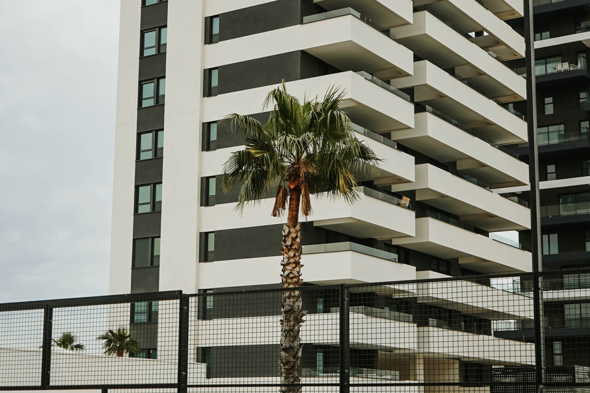 Obra nueva - Ático -
Calpe