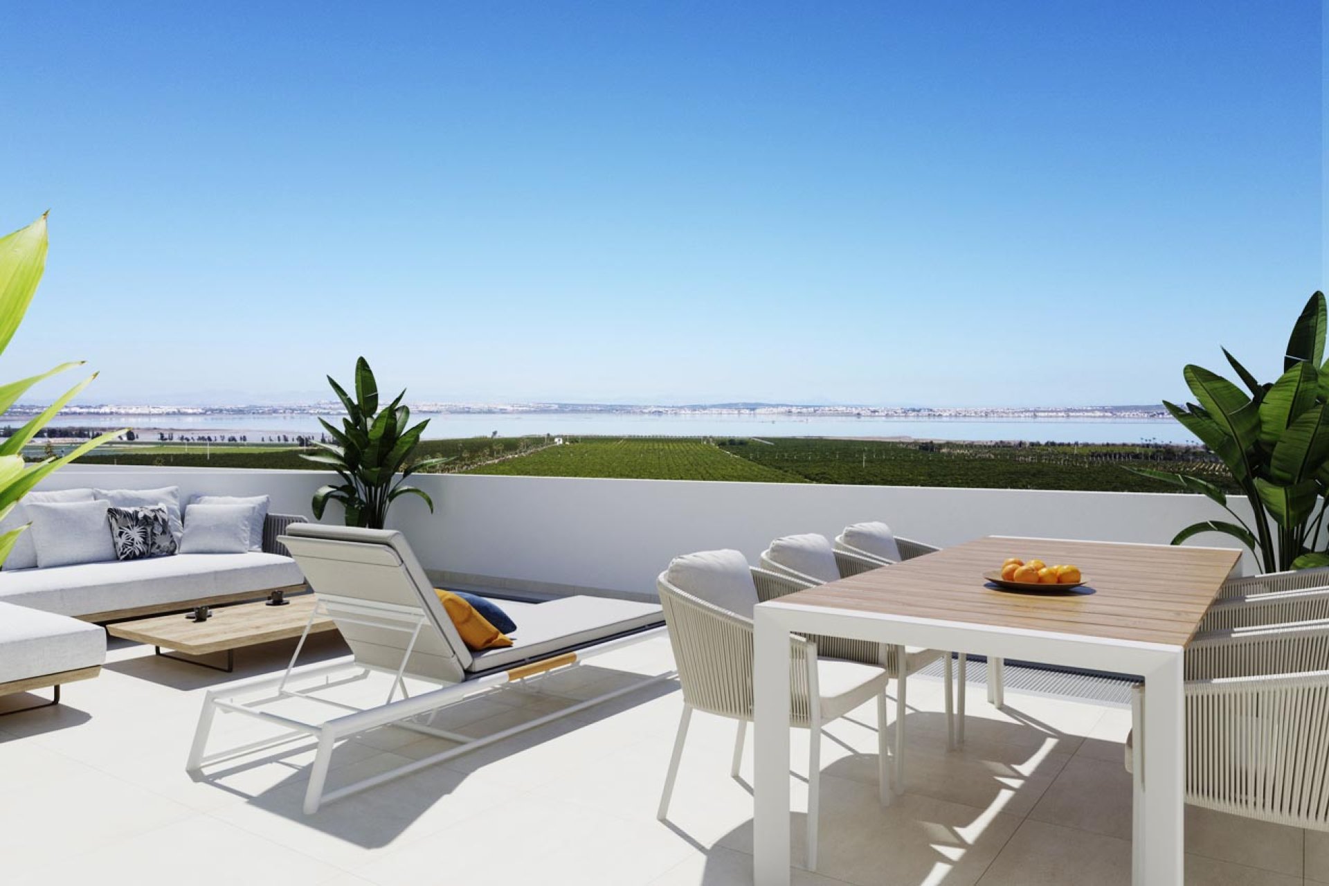 Obra nueva - Ático -
Torrevieja