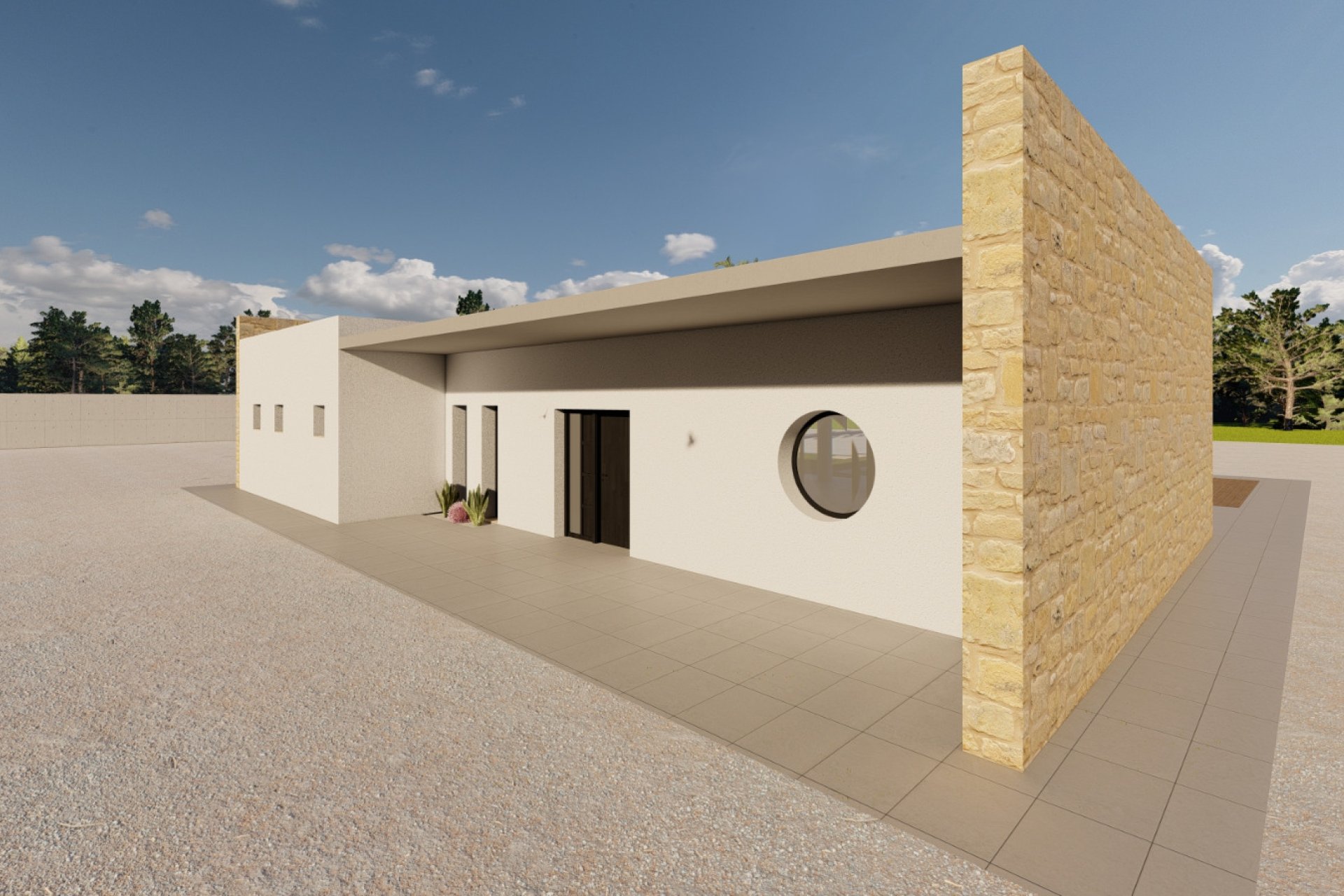Obra nueva - detached -
El Pinós