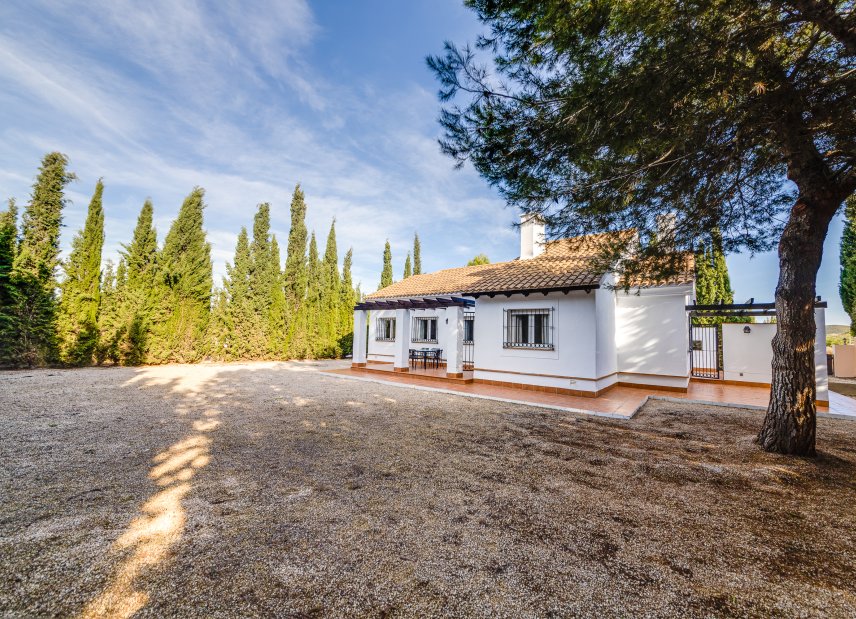Obra nueva - detached -
Fuente Alamo