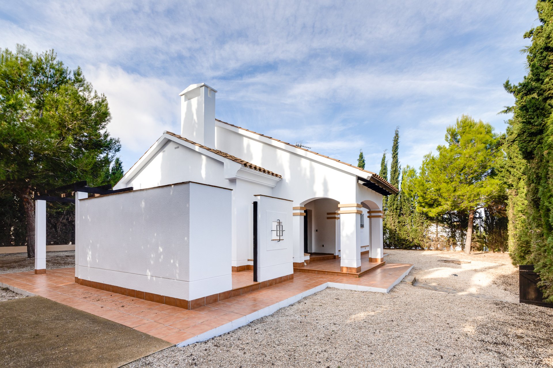 Obra nueva - detached -
Fuente Alamo