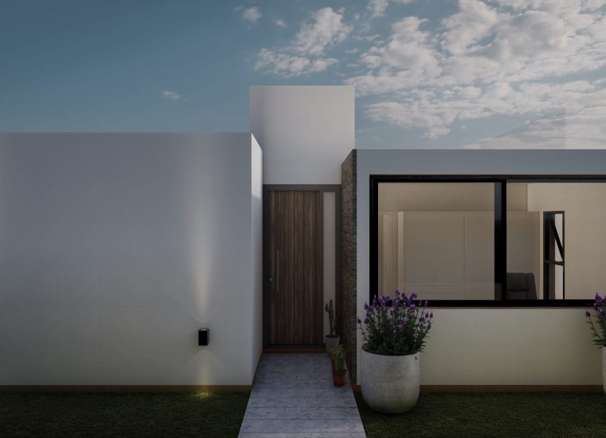 Obra nueva - detached -
Las Casicas
