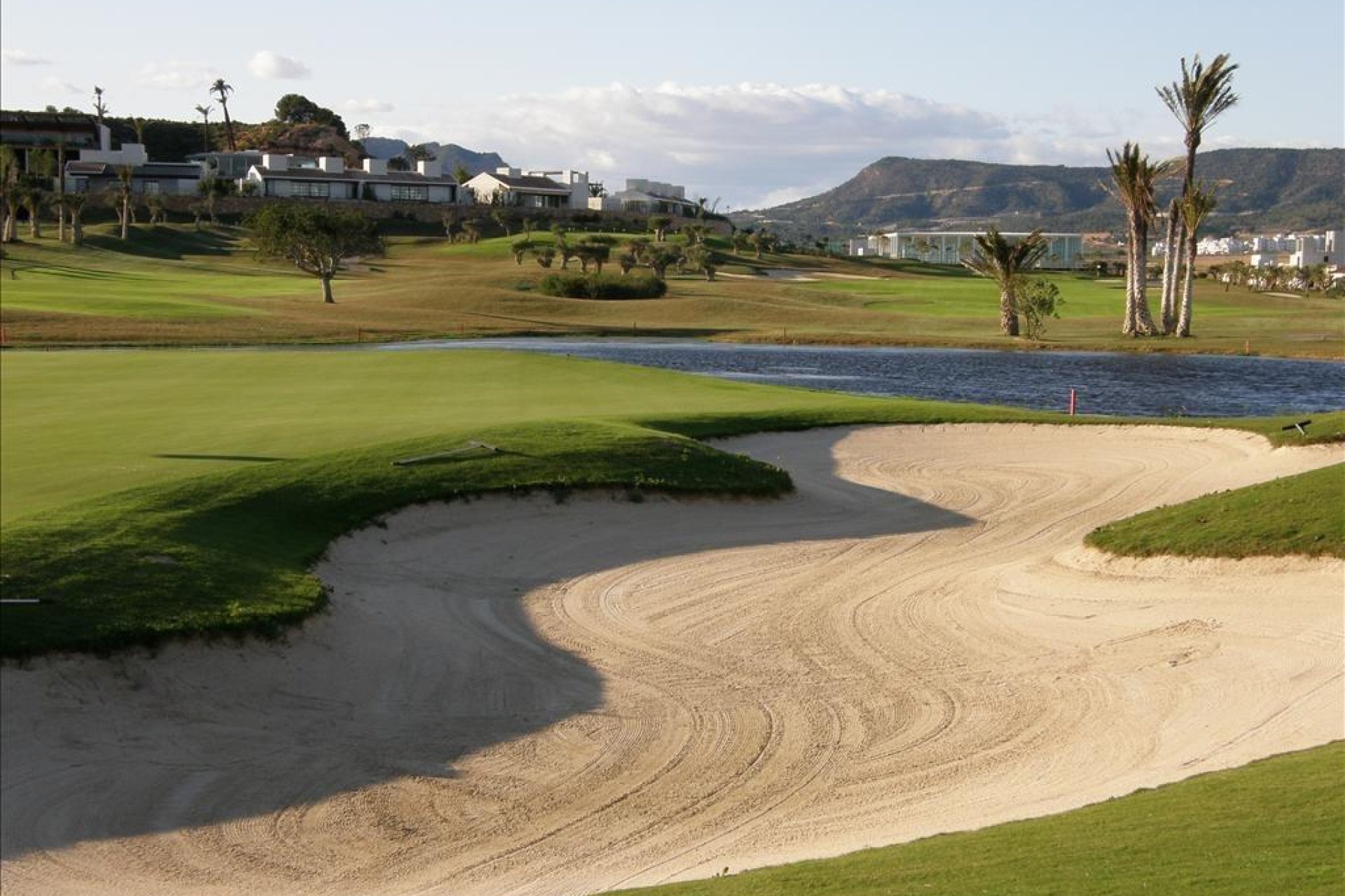 Obra nueva - detached -
Peraleja Golf
