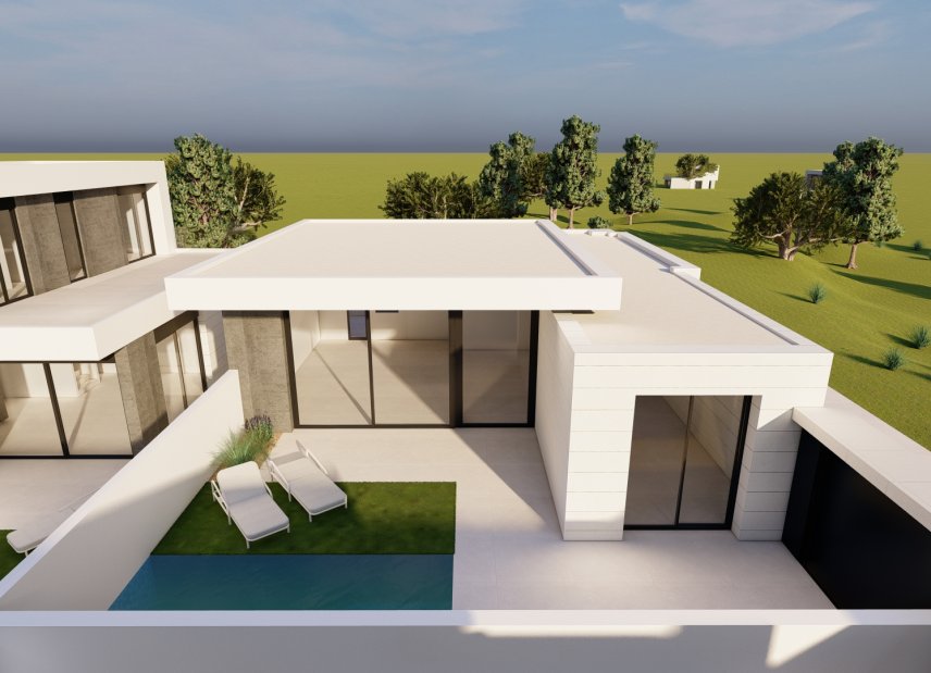 Obra nueva - detached -
Pilar de la Horadada