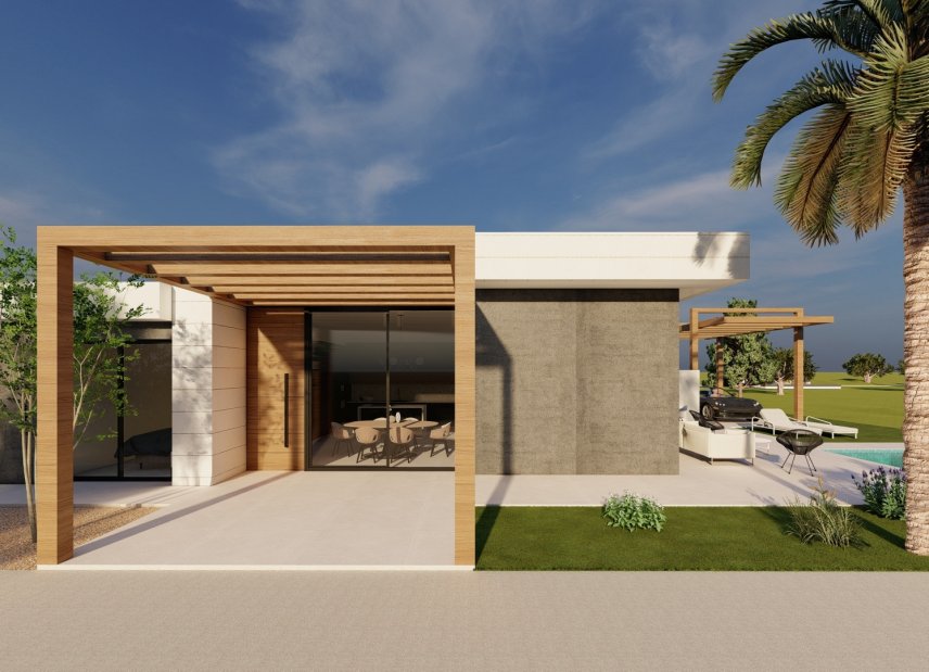 Obra nueva - detached -
Pilar de la Horadada