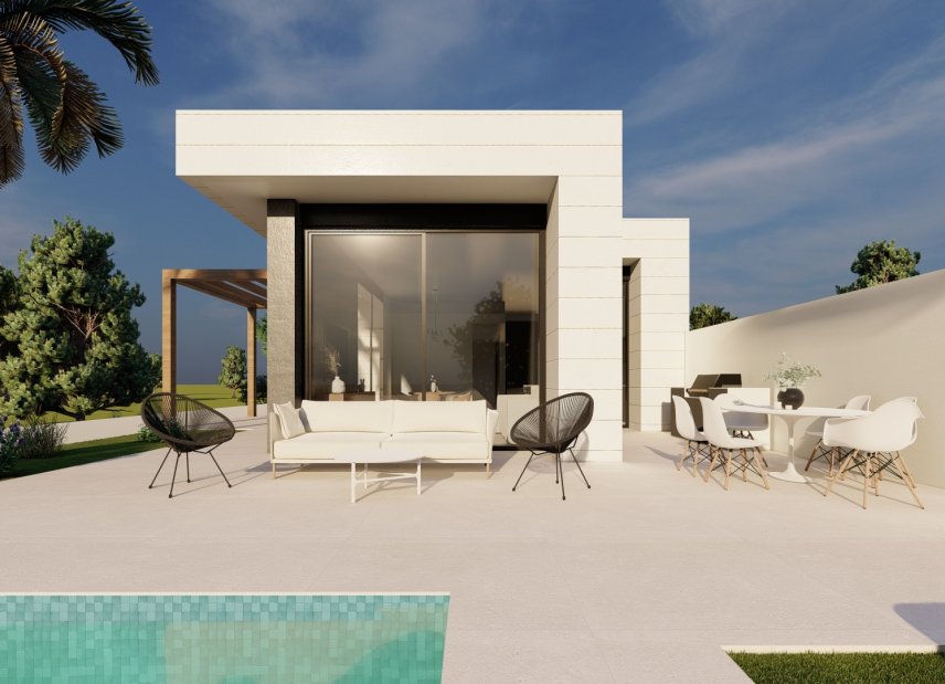 Obra nueva - detached -
Pilar de la Horadada