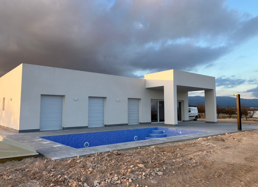 Obra nueva - detached -
Pinoso