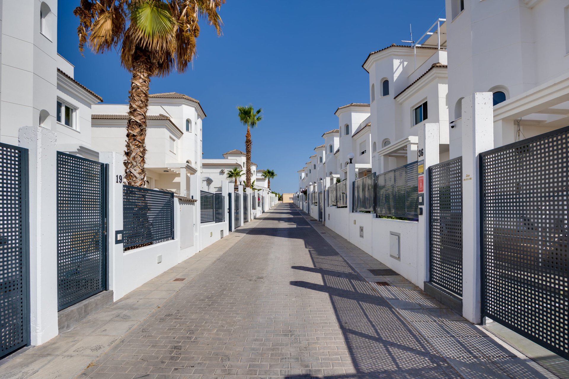 Obra nueva - detached -
San Fulgencio