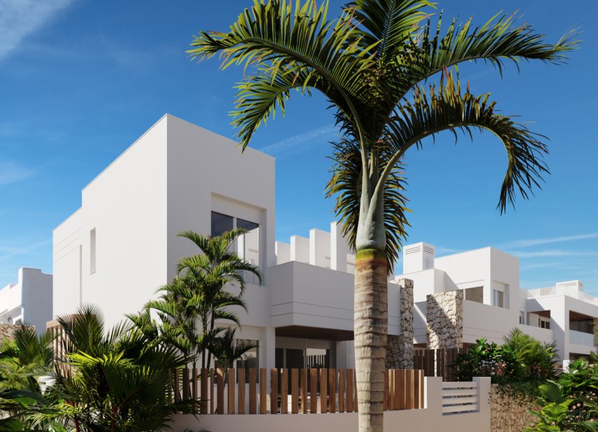 Obra nueva - detached -
San Juan de los Terreros
