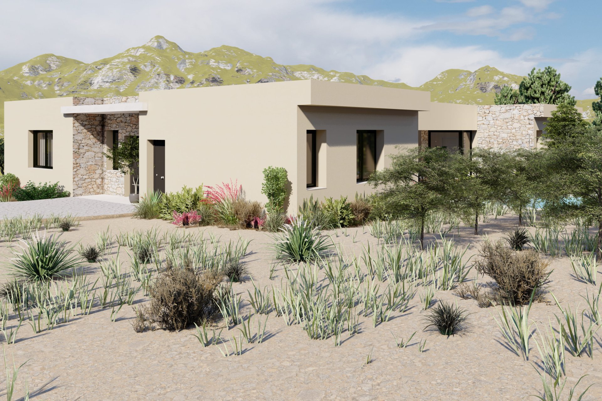 Obra nueva - detached -
Yecla