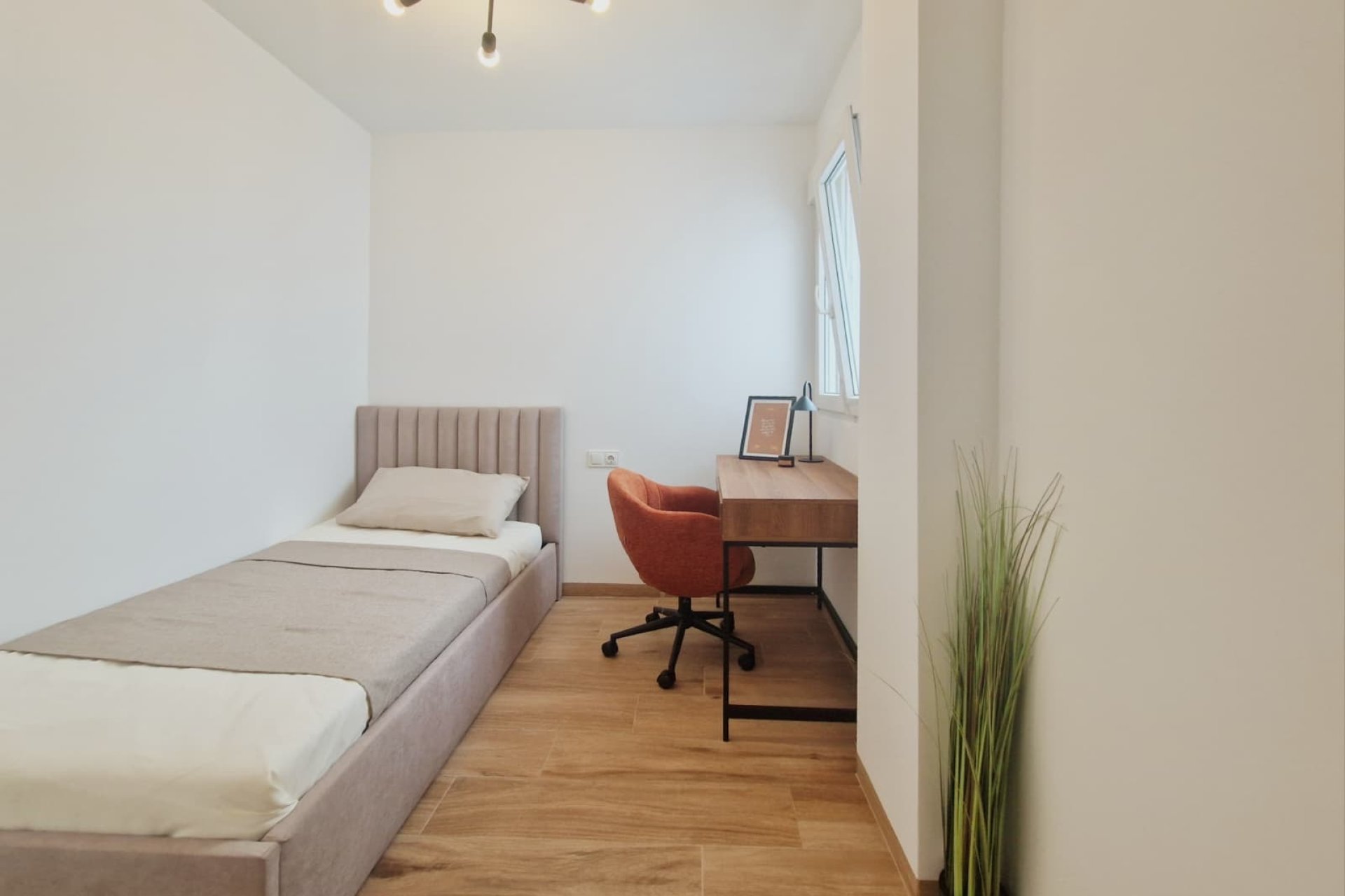 Obra nueva - ground-floor -
San Fulgencio