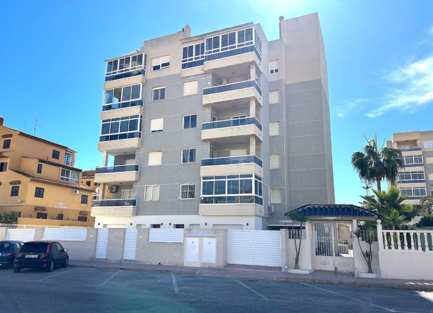 Obra nueva - ground-floor -
Torrevieja