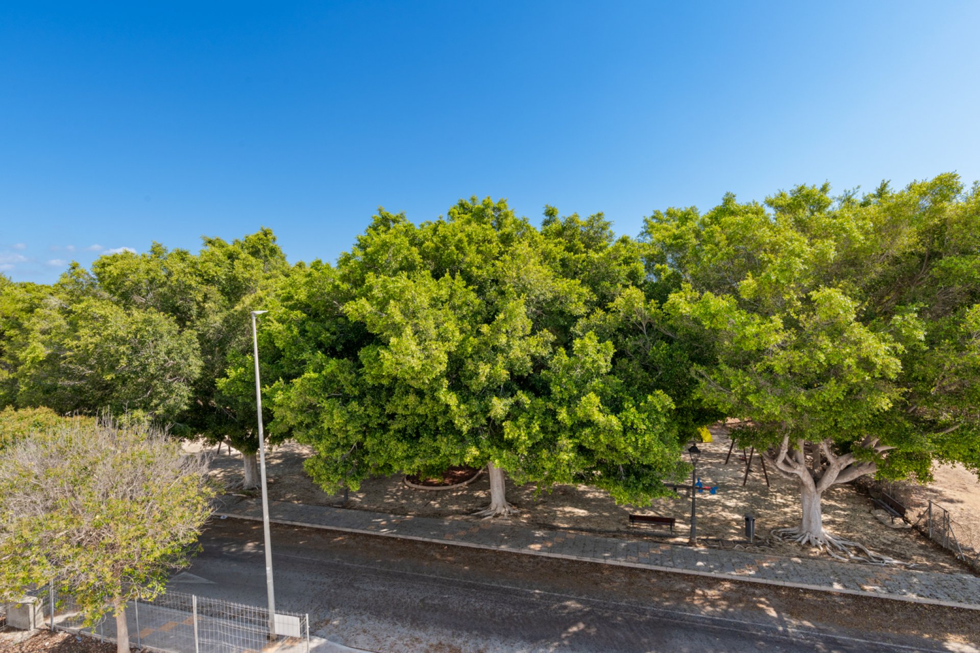 Obra nueva - Villa -
Mil Palmeras