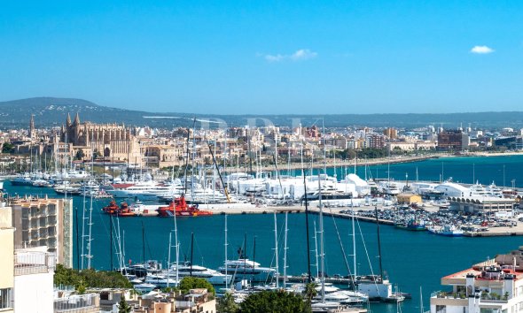 Palace - Resale - Palma - El Terreno