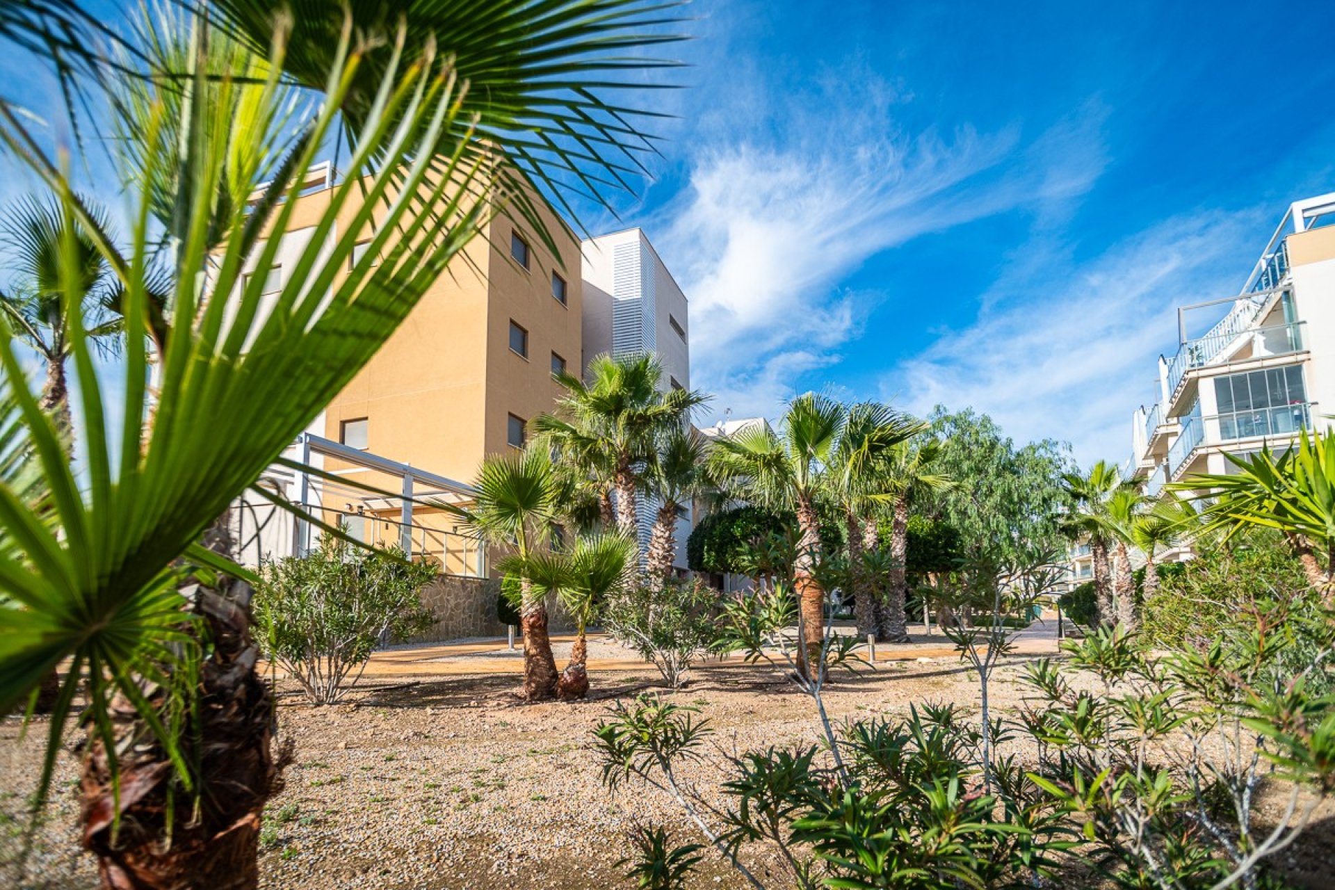 Resale - apartment -
Orihuela Costa - Los Dolses