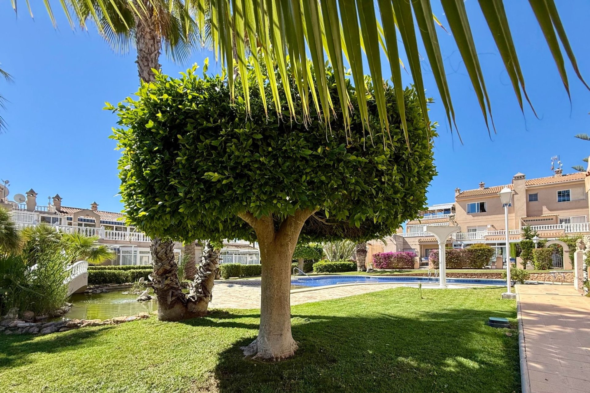 Resale - apartment -
Orihuela Costa - Playa Flamenca