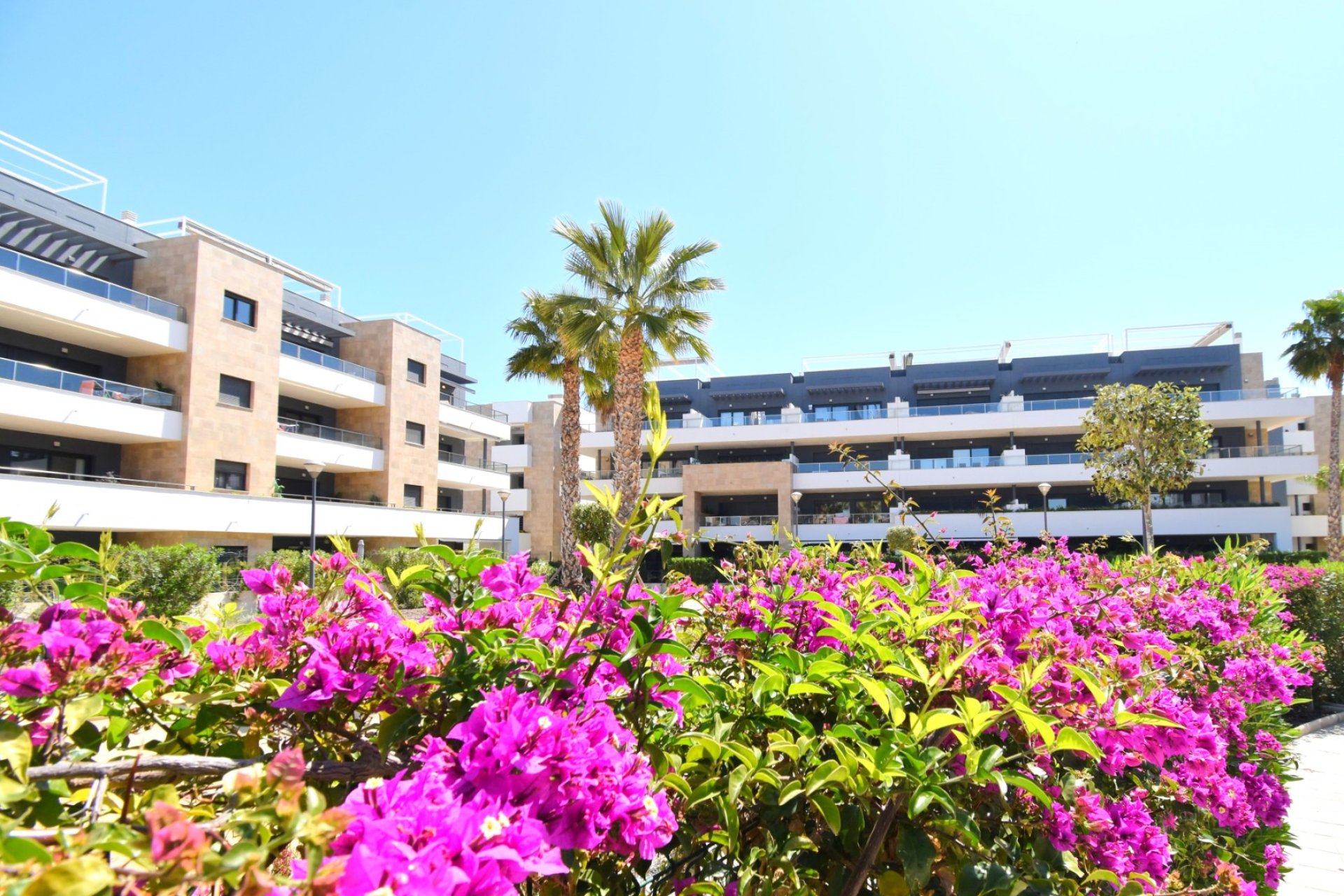 Resale - apartment -
Orihuela Costa - Playa Flamenca