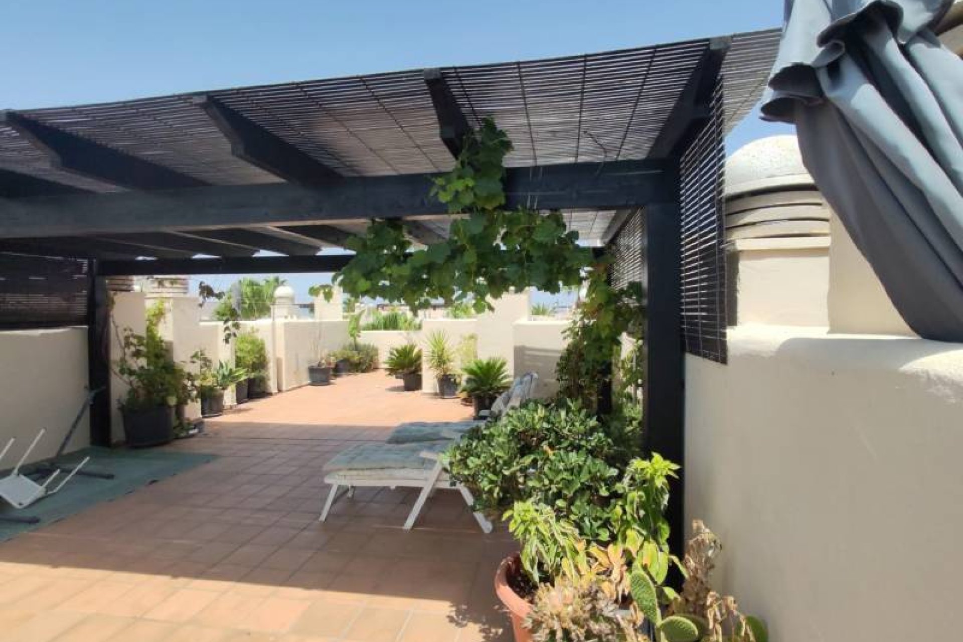 Resale - apartment -
San Javier - Roda