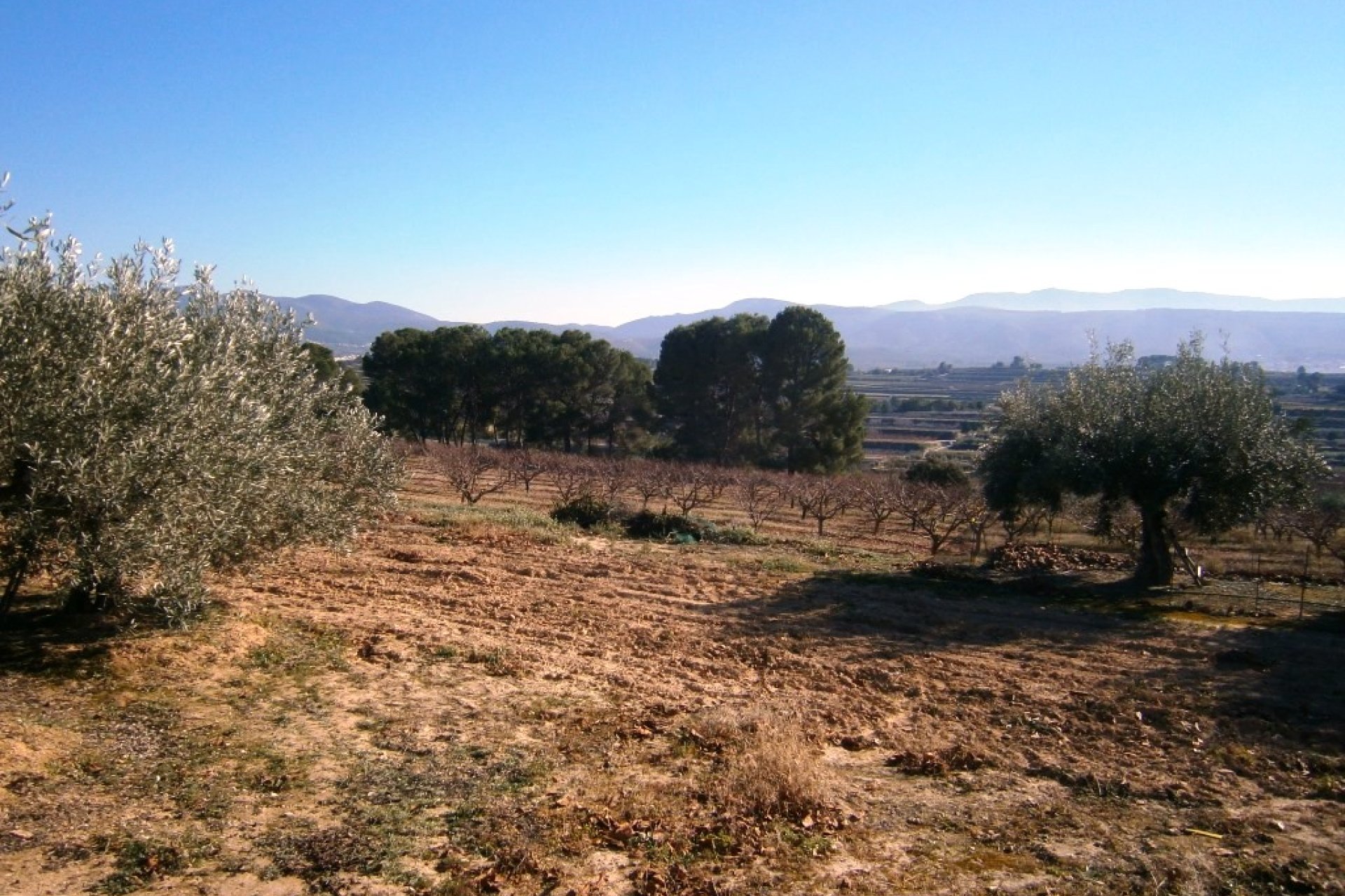 Resale - Country House -
Agullent