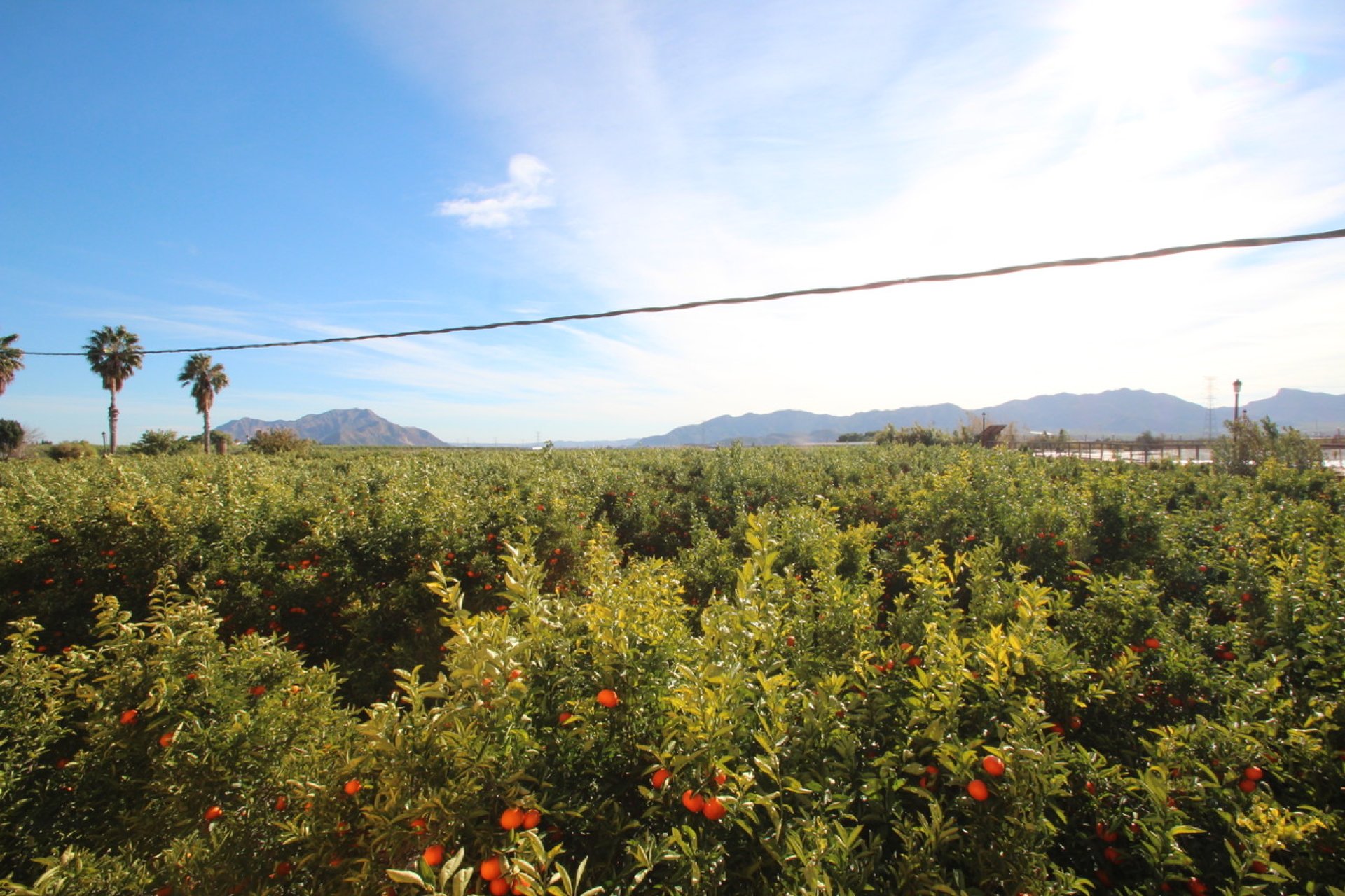 Resale - Country House -
Murcia - Costa Blanca