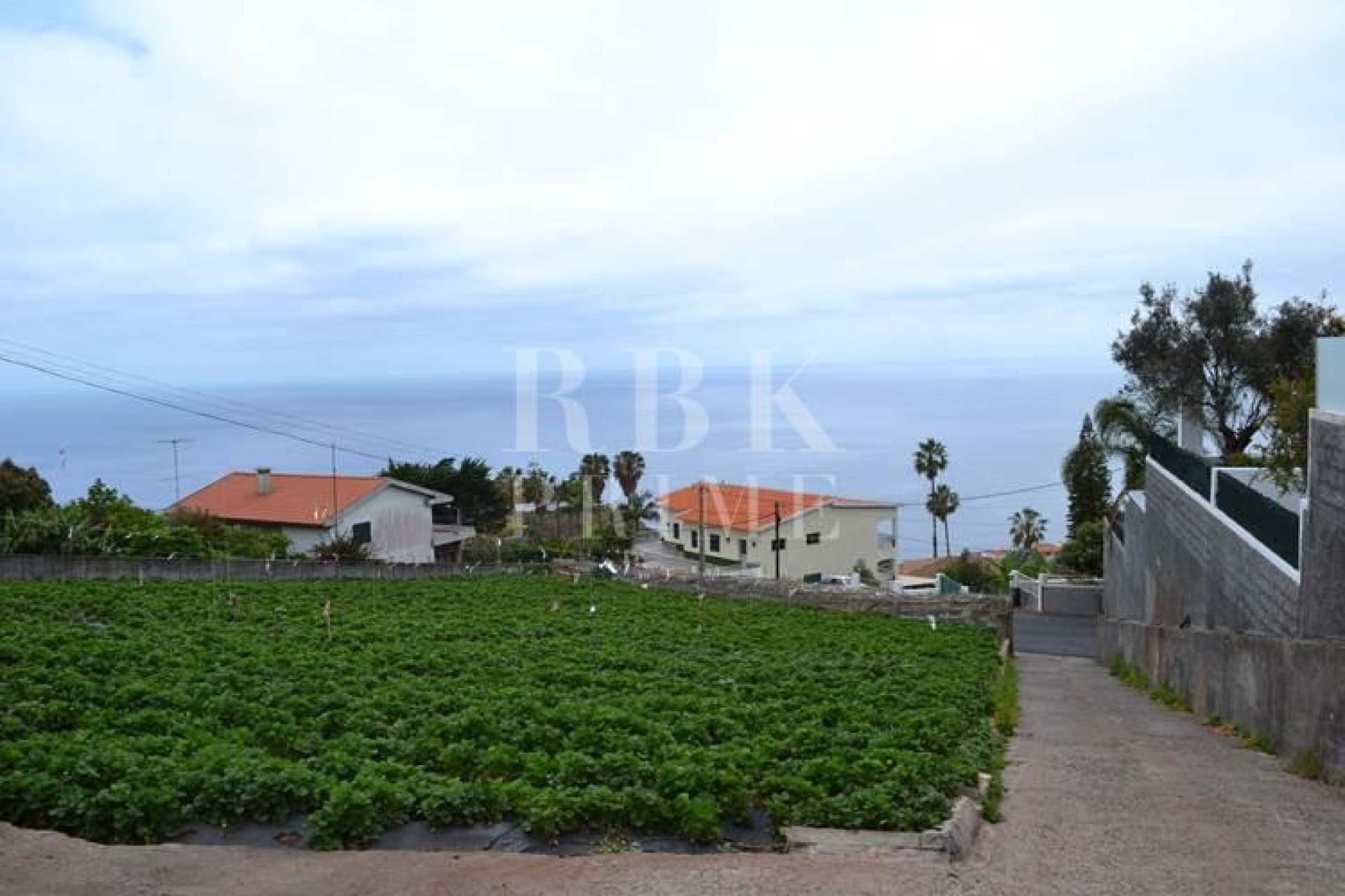 Resale - Land -
Madeira