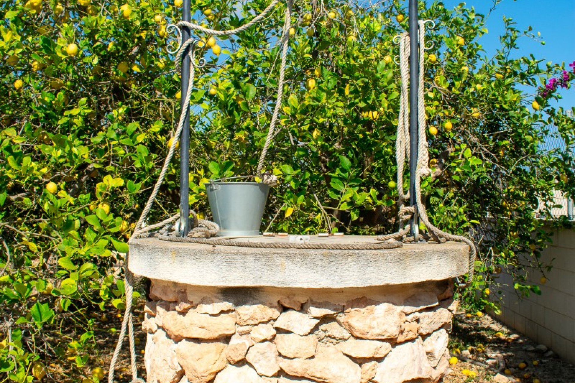 Resale - Villa -
Guardamar del Segura - El Raso