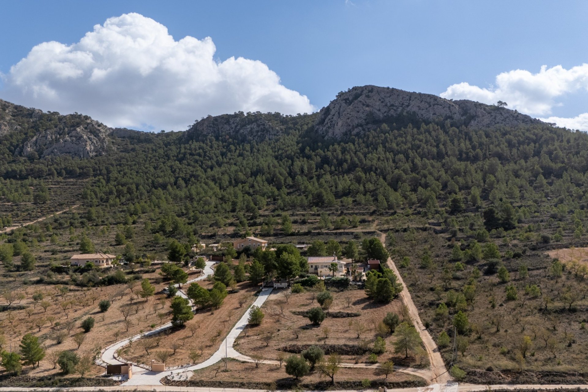 Resale - Villa -
La Zarza
