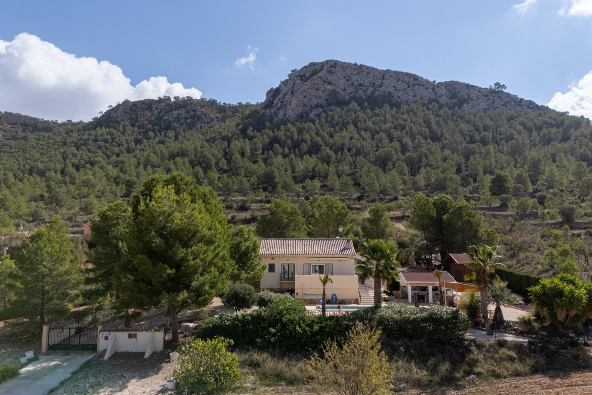 Resale - Villa -
La Zarza