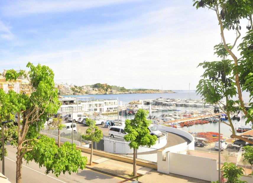Resale - Villa -
Palma - Palma urbano