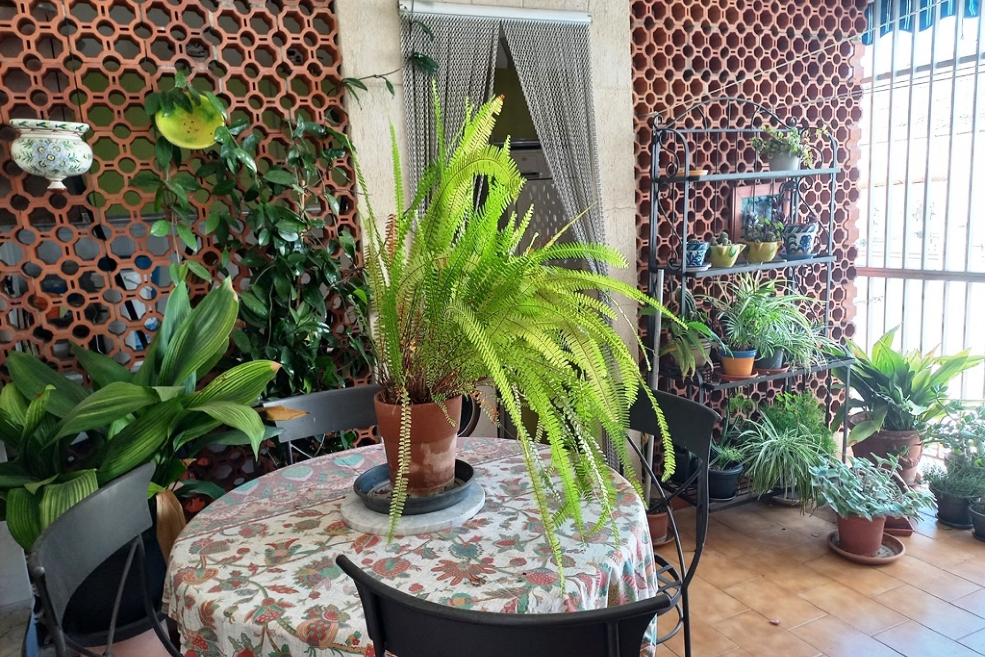 Reventa - apartment -
Beniarbeig