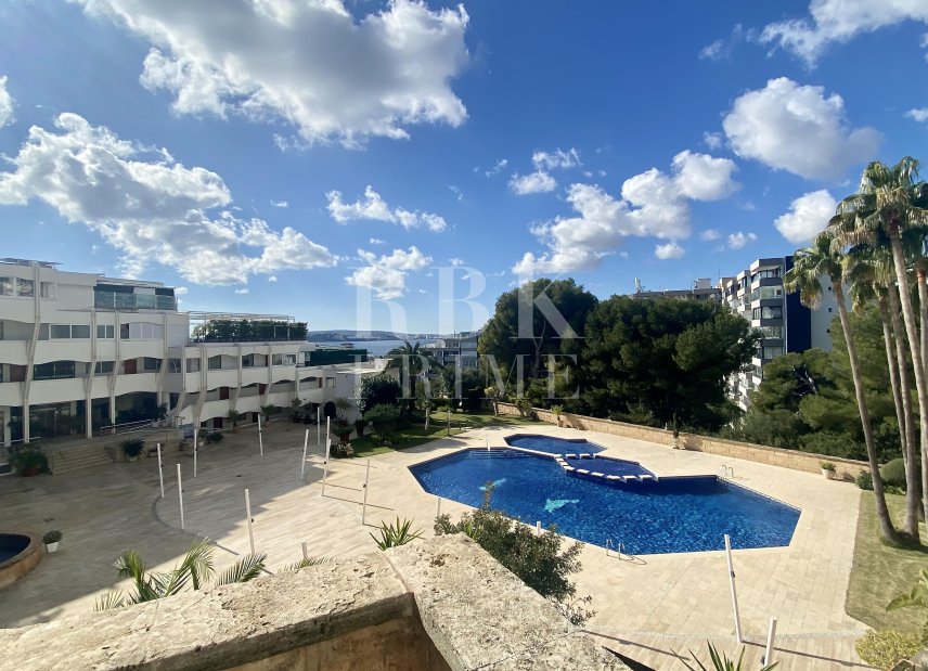 Reventa - apartment -
Calvià - Portals Nous