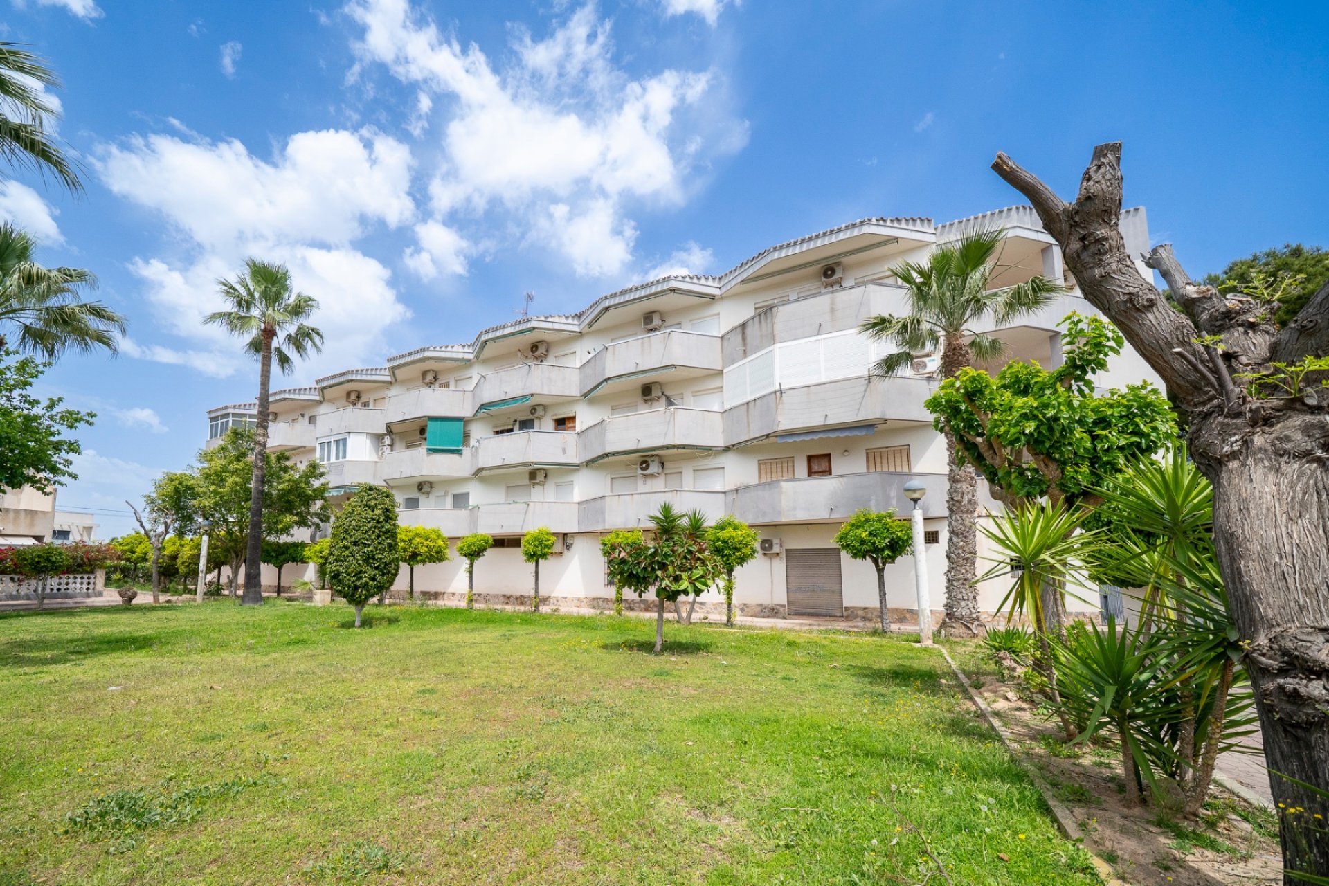 Reventa - apartment -
Orihuela Costa - Cabo Roig